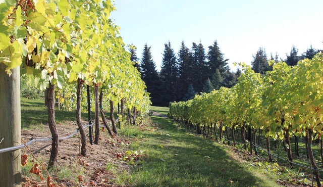 EV Charger, Vineyard, Championship Golf Course all with a Beautiful Water View!