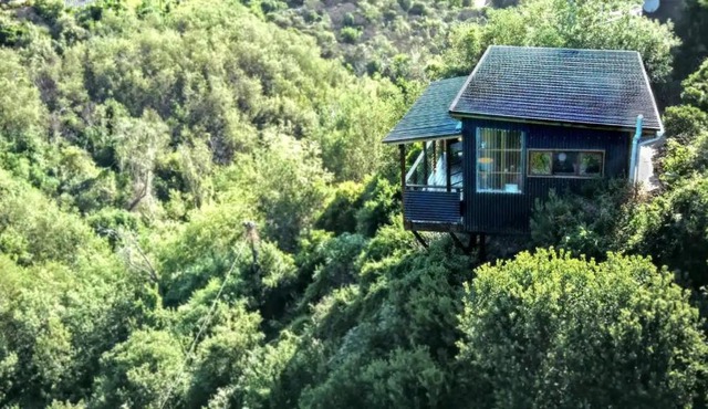 Forest Studio in Knysna