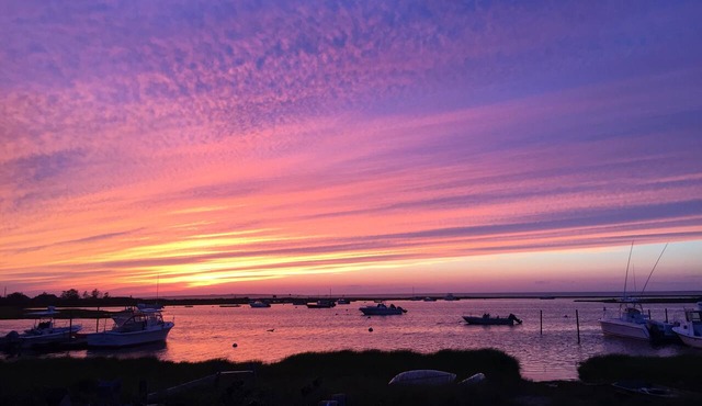 Frankie Starlight - Classic Madaket Beach Cottage Water Views Sleeps 10 in Nantucket