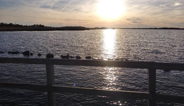 Happy Place: sunset view of Back Bay from the sofa and deck- 5 min walk to Beach