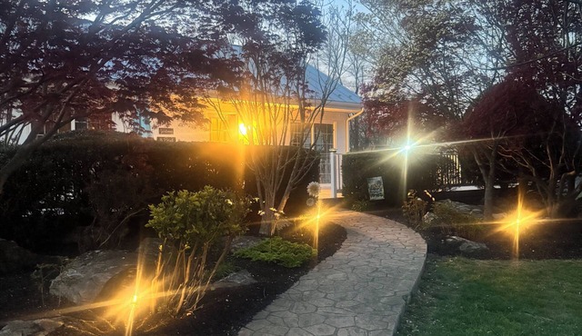 Hattingh Equine Rescue Launches Farm Cottage Stay to Support Rescued Horses