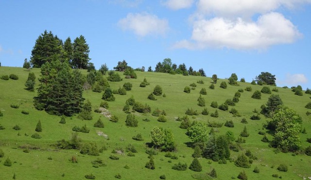 Heid-Blick in Gomadingen