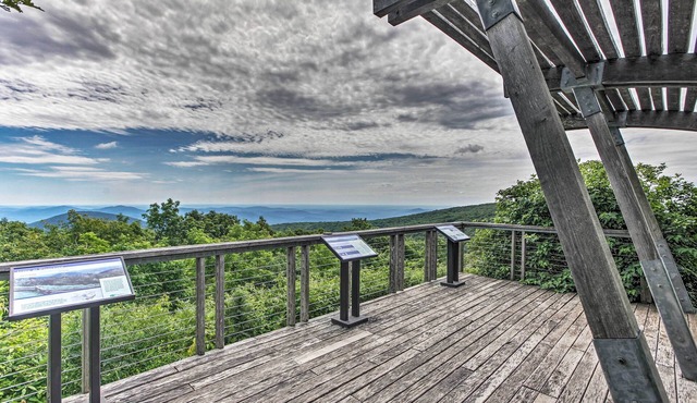 Idyllic Wintergreen Condo w/Resort Amenities