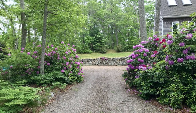 In the Woods/Walk to Town: Shared house w/1 other guest room