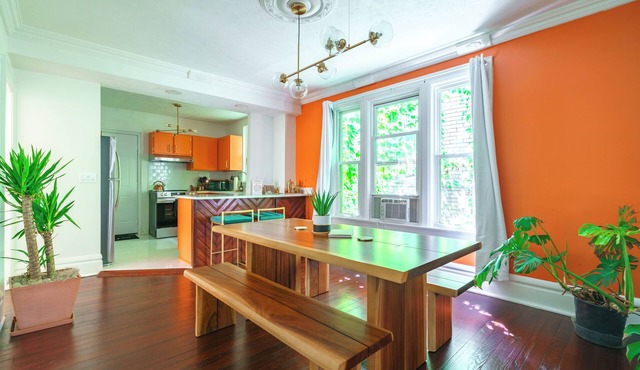 Jungle Casa Lundy