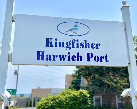 Kingfisher Harwich Port