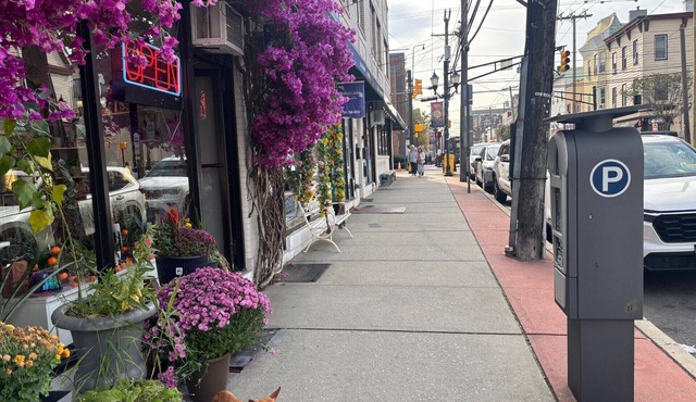 Lovely 3-bedroom apt Park Ave 2 freshly renovated