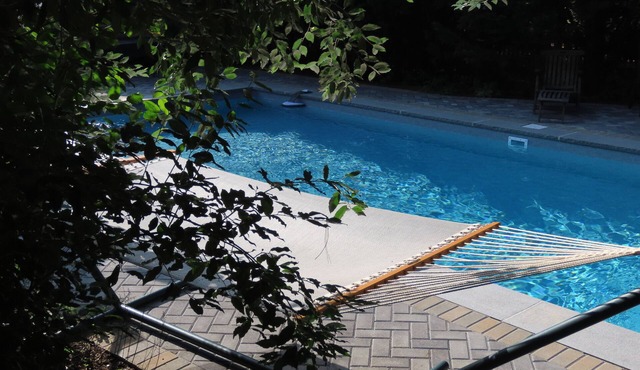 Lovely full remodel with pool walk to 3 beaches - dog friendly w permission