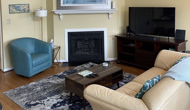 LTR Condo located in Ghent, Close to everything Norfolk has to offer!
