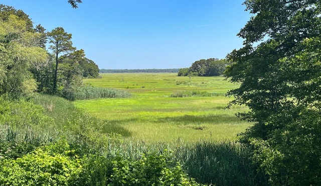 Marsh View 4 You: Spacious Retreat, near Beach, Salt Marsh View: Backyard Oasis