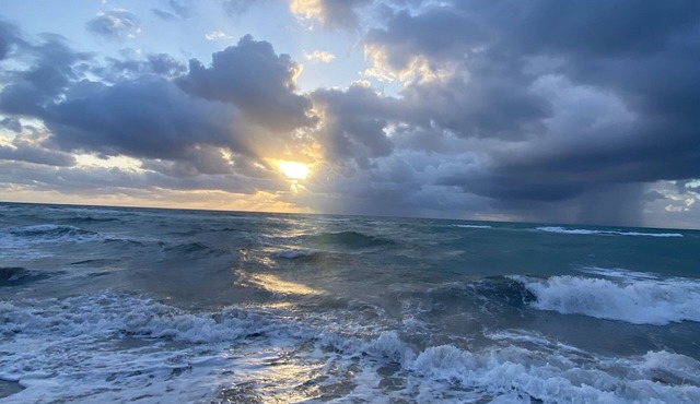 Ocean View, 1BD+1.5BA, Steps To Beach. Heated Pool. Ocean reserve
