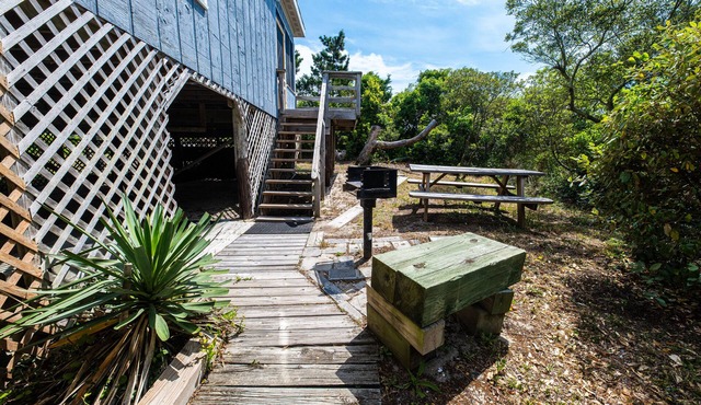 Oceanfront Classic Cottage