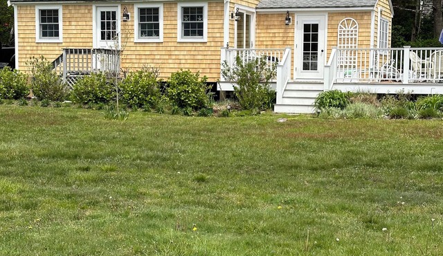 On Town Cove with salt water access! Kayaks and paddle board available for use!