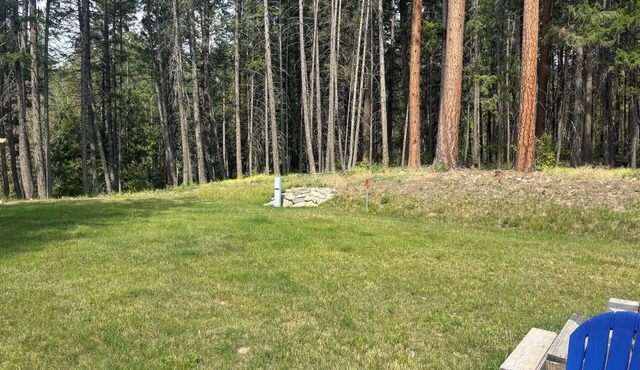 One Small Rv Space North of Bonners Ferry. 50 Amp, Water, Sewer. Ask about pets