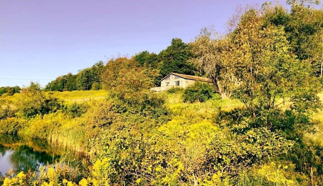 Peaceful Cabin Retreat with Mountain Views & Private Acreage in Hamden, New York