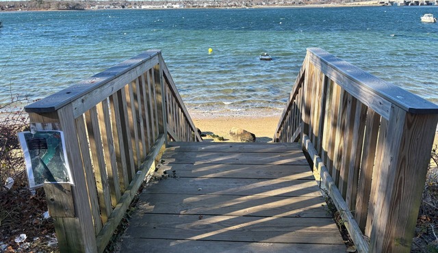Perfect Vineyard escape steps away from Lagoon Pond and Oak Bluffs
