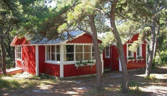 Pleasant Forest Shores #1 S. Chatham: Classic Swedish 'Stuga' style near beach
