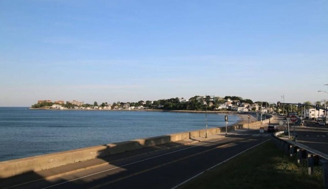 Private apt Walk to MBTA Blue and beach, view!