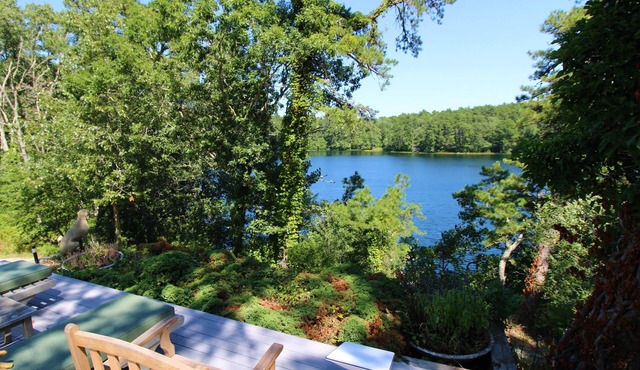 Private Cottage Compound On Ryders Pond with Pristine Yard (2215)