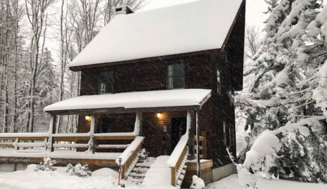 Private, new home near Skyeship gondola with four fireplaces, washer/dryer, WiFi