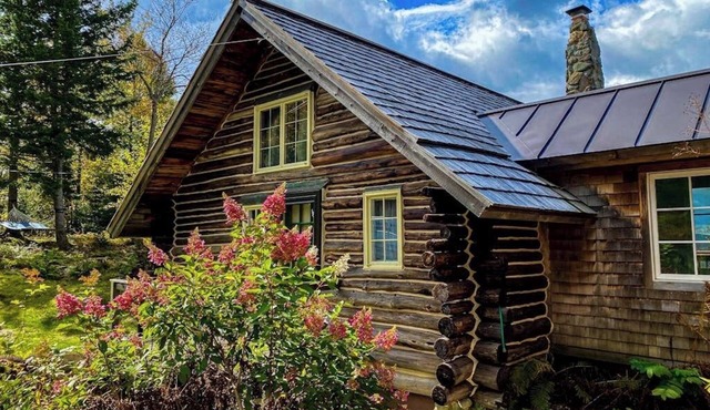 Quintessential wilderness retreat with mtn views & kayaks - dog-friendly