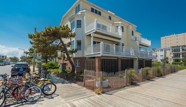 Rehoboth Beach Ocean Front Dog Friendly Sleeps 12