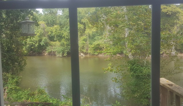 River views from Bed! Walk to Uptown & ECU