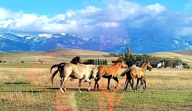 RV SITE ONLY Home on the Ranch