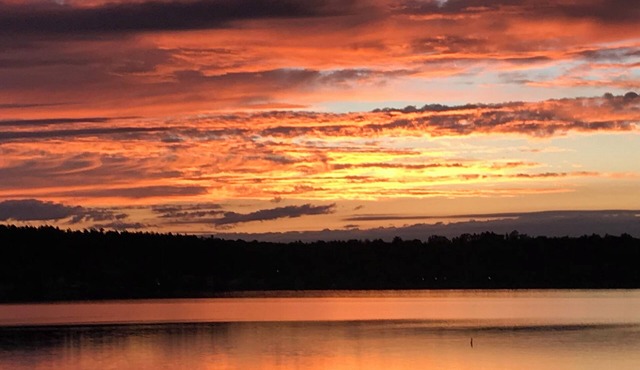 Saratoga Summer Rental at this Saratoga Lakefront House!