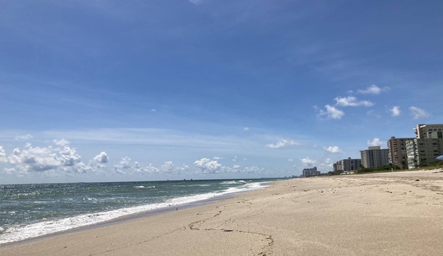 Sea you on the Shore