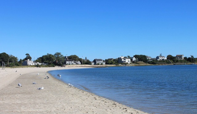 Seaside serenity! Breathtaking views!. Steps to Pool & Private Beach.