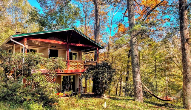 Secluded Mountain Cabin by the New River l Hot Tub + Game Room l Pet-friendly