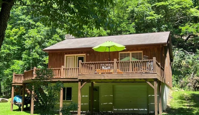 Serene, Cozy Cabin Nestled on the Greenbrier River Trail.