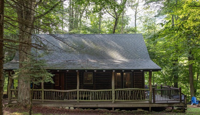 Snowshoe Log Cabin - Two Fawns