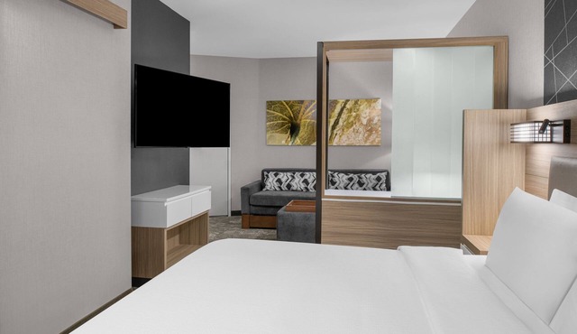 SpringHill Suites by Marriott Riverside Redlands in Redlands