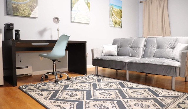 Studio 3-minute walk to subway, bus: Harvard,MIT,Lesley,Tufts,downtown Boston