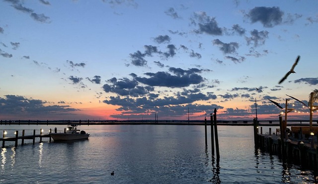 Stunning and Spacious Island Oasis Located in Historic Downtown Chincoteague