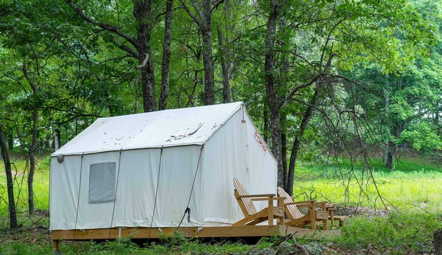 Tentrr State Park Site - WV Lost River State Park - Wooded Wilderness D - Single