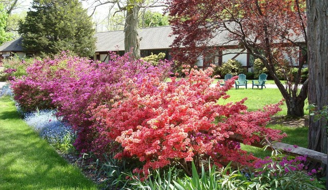 The Earl of Sandwich Motel