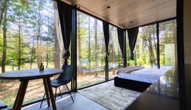The Haüs Windham - Spacious Suites, Hot Tub, Mountain Views! in Windham