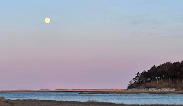The Pet-Friendly Surf Shack Hideaway on the Cove