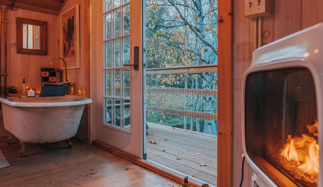Treehouse lifted up over a stocked trout pond up in the beautiful birch trees!