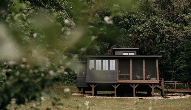 Treehouse-Style Cabin | Fire Pit & Hiking