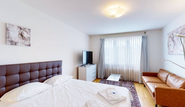 Very spacious studio / city center (Parkview 4) in Zürich