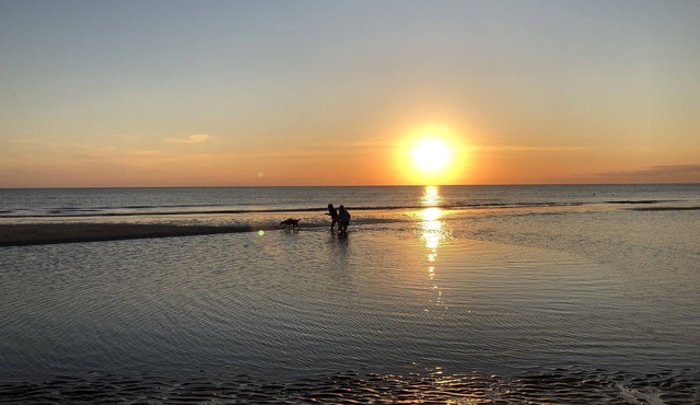 Walk to Beach! Dog Friendly! Nicely Renovated Cottage. Close to Cape May. WiFi!
