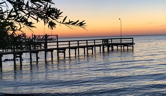 Waterfront Home on Lake Moultrie with New Dock and new private boat landing