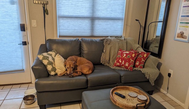 WildWoof Beach Bungalow @ North Wildwood - No Pet Fees!