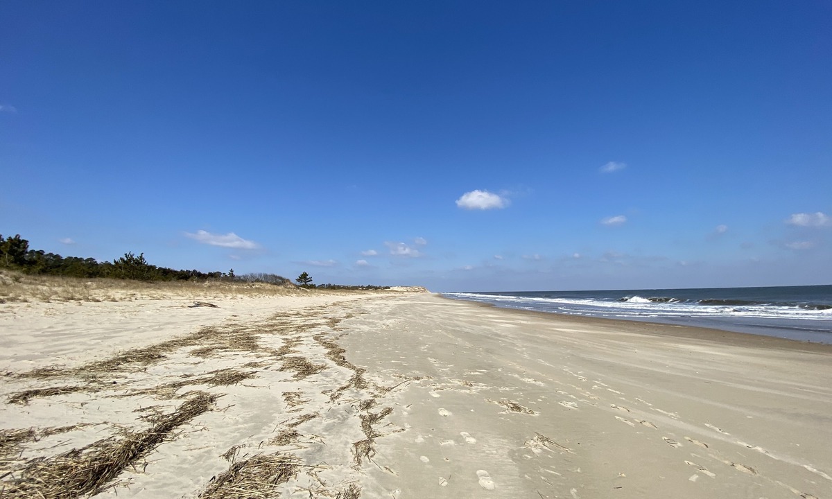 Milford House | Detached in law suite. Murphy bed, close to the hospital, 20 mins from the beach