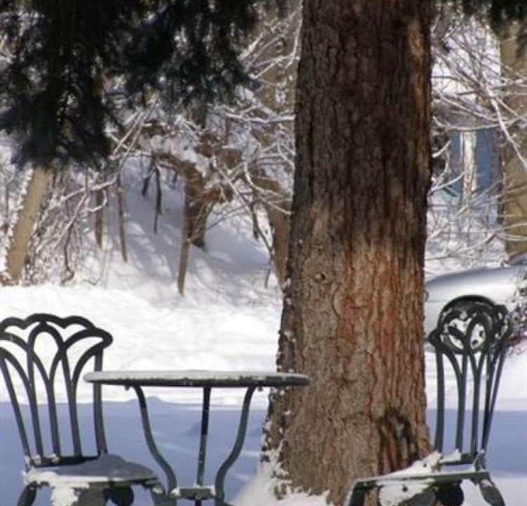Photo of Others in Clarence