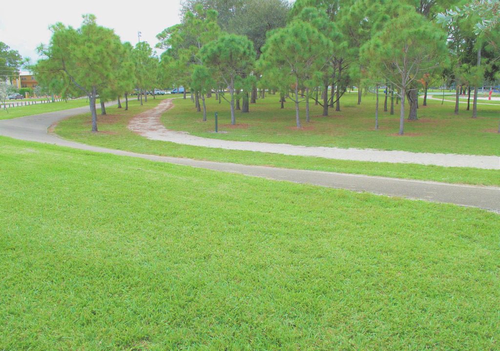 Photo of Others in Victoria Park